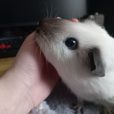 Блог