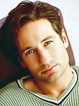   (David Duchovny)