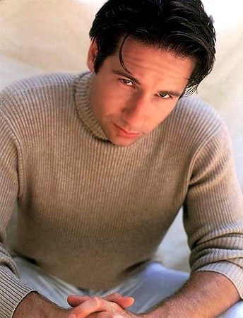   (David Duchovny)