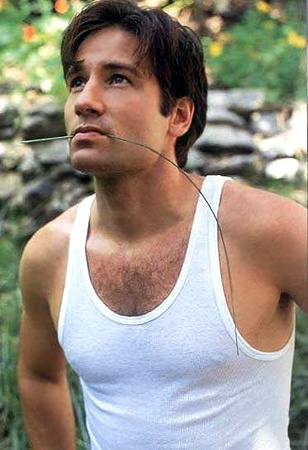   (David Duchovny)