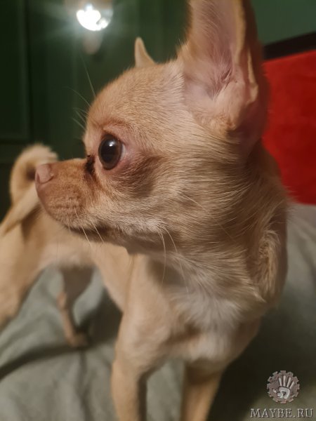 ����. ��������� �������� ��������!