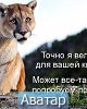 Ledy_vam_���� 677311