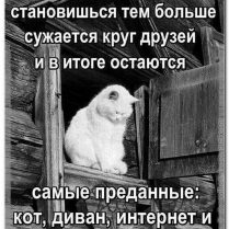 к записям дневника