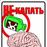 к записям дневника