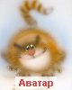 Manx_Cat