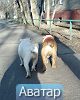 45 карат