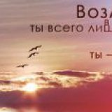 к записям дневника