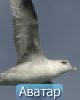 AIR