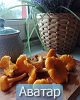 Чарито