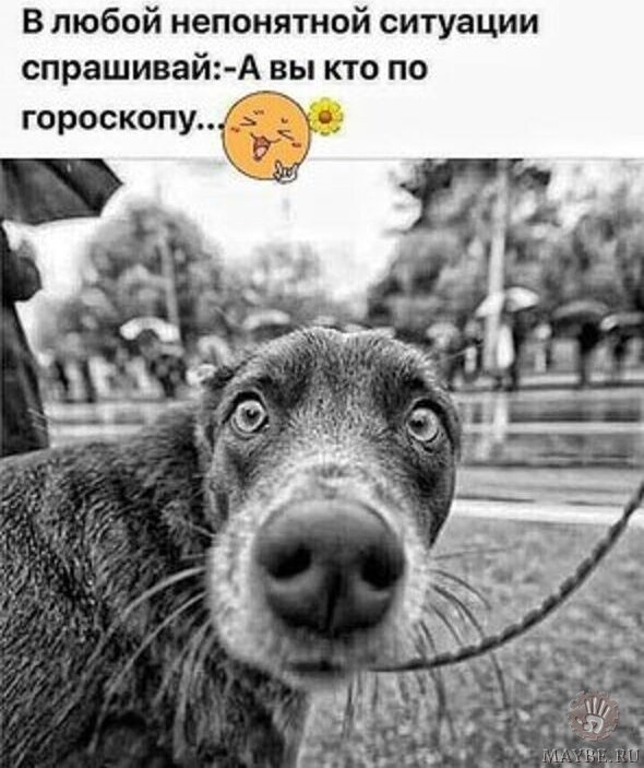   !