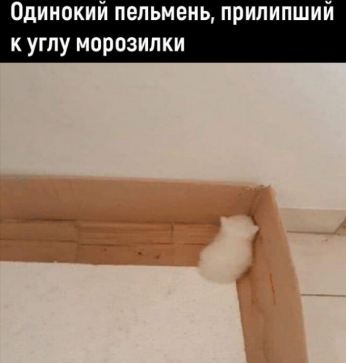   !