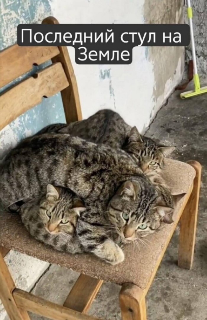   !