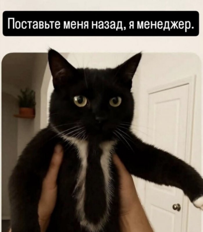 Голосуйте за прикольчик!