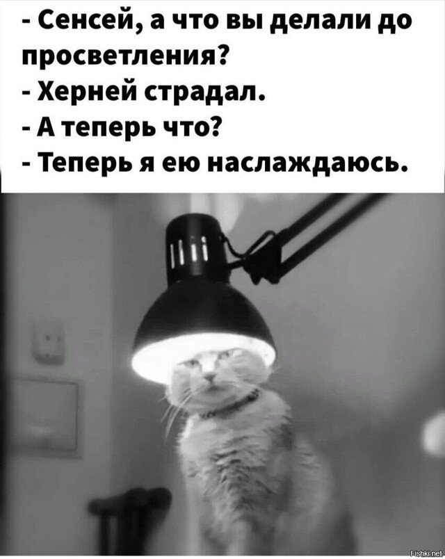 Голосуйте за прикольчик!