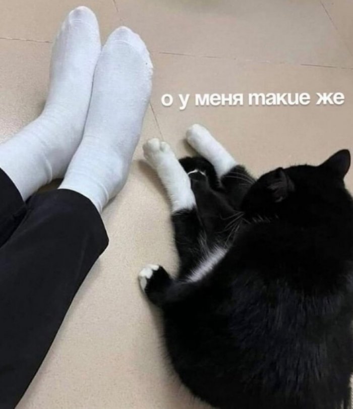 Голосуйте за прикольчик!