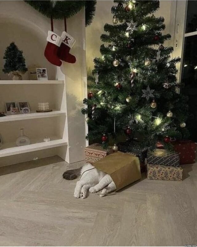 ��������� �� ����������!