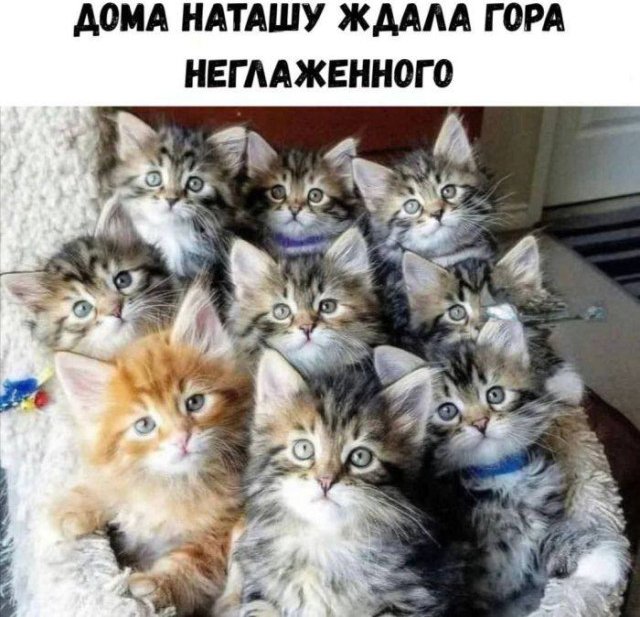 Голосуйте за прикольчик!