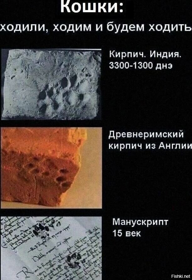 ��������� �� ����������!